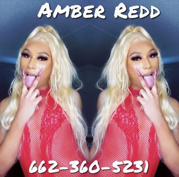 6623605231, transgender escort, Miami