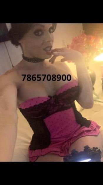 7865708900, transgender escort, Miami