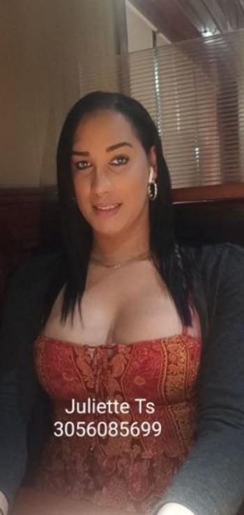 3056085699, transgender escort, Miami