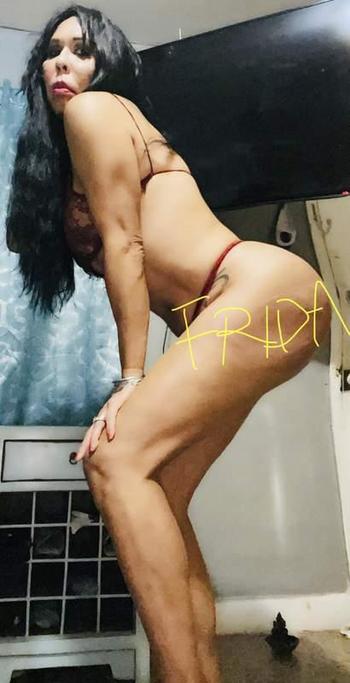 1303624367, transgender escort, Miami