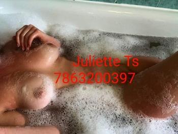 7863200397, transgender escort, Miami