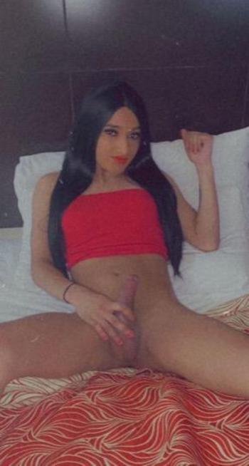 9809905180, transgender escort, Miami
