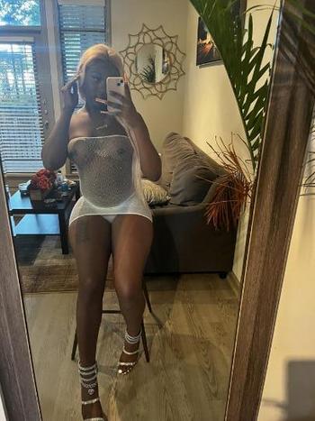 8135564926, transgender escort, Miami