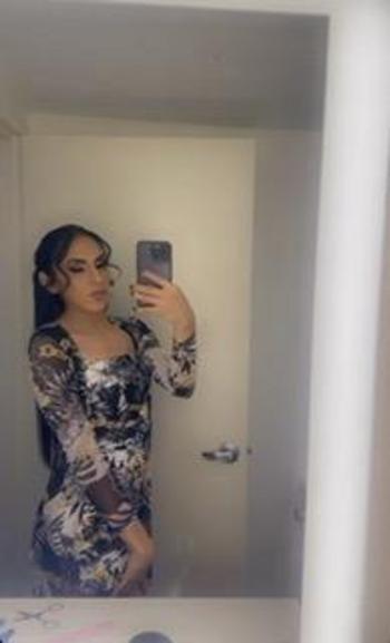7182161919, transgender escort, Miami